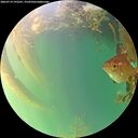 ./images/calvert/underwater/20260719/underwater20260719_193501M.jpg