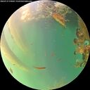 ./images/calvert/underwater/20260719/underwater20260719_194001M.jpg