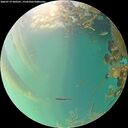 ./images/calvert/underwater/20260719/underwater20260719_200501M.jpg