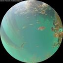 ./images/calvert/underwater/20260719/underwater20260719_202501M.jpg