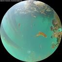 ./images/calvert/underwater/20260719/underwater20260719_203501M.jpg