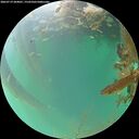 ./images/calvert/underwater/20260719/underwater20260719_204001M.jpg