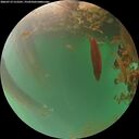 ./images/calvert/underwater/20260719/underwater20260719_212501M.jpg