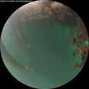 ./images/calvert/underwater/20260719/underwater20260719_215001M.jpg