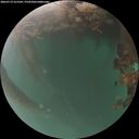 ./images/calvert/underwater/20260719/underwater20260719_215502M.jpg