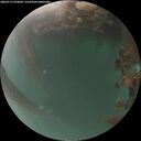 ./images/calvert/underwater/20260719/underwater20260719_220002M.jpg