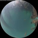 ./images/calvert/underwater/20260720/underwater20260720_052502M.jpg