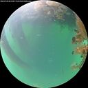 ./images/calvert/underwater/20260720/underwater20260720_061501M.jpg