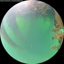 ./images/calvert/underwater/20260720/underwater20260720_063501M.jpg