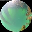 ./images/calvert/underwater/20260720/underwater20260720_064502M.jpg