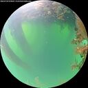 ./images/calvert/underwater/20260720/underwater20260720_070002M.jpg