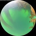 ./images/calvert/underwater/20260720/underwater20260720_075001M.jpg