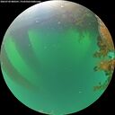 ./images/calvert/underwater/20260720/underwater20260720_080501M.jpg