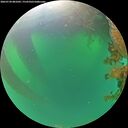 ./images/calvert/underwater/20260720/underwater20260720_081001M.jpg