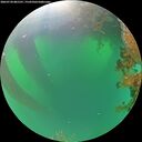 ./images/calvert/underwater/20260720/underwater20260720_081501M.jpg