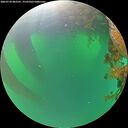 ./images/calvert/underwater/20260720/underwater20260720_082501M.jpg