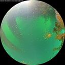 ./images/calvert/underwater/20260720/underwater20260720_083501M.jpg