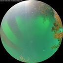 ./images/calvert/underwater/20260720/underwater20260720_084001M.jpg