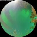 ./images/calvert/underwater/20260720/underwater20260720_085001M.jpg