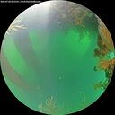 ./images/calvert/underwater/20260720/underwater20260720_085501M.jpg
