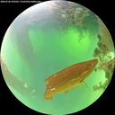 ./images/calvert/underwater/20260720/underwater20260720_105501M.jpg