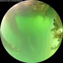 ./images/calvert/underwater/20260720/underwater20260720_113501M.jpg