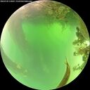./images/calvert/underwater/20260720/underwater20260720_114001M.jpg