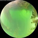 ./images/calvert/underwater/20260720/underwater20260720_114501M.jpg