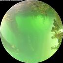 ./images/calvert/underwater/20260720/underwater20260720_120501M.jpg
