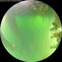 ./images/calvert/underwater/20260720/underwater20260720_123002M.jpg