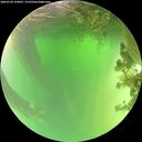 ./images/calvert/underwater/20260720/underwater20260720_124001M.jpg