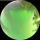 ./images/calvert/underwater/20260720/underwater20260720_131501M.jpg