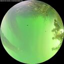 ./images/calvert/underwater/20260720/underwater20260720_135501M.jpg