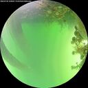 ./images/calvert/underwater/20260720/underwater20260720_144002M.jpg