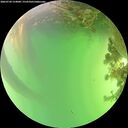 ./images/calvert/underwater/20260720/underwater20260720_154001M.jpg