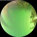 ./images/calvert/underwater/20260720/underwater20260720_154501M.jpg