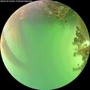 ./images/calvert/underwater/20260720/underwater20260720_161001M.jpg