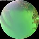 ./images/calvert/underwater/20260720/underwater20260720_172501M.jpg
