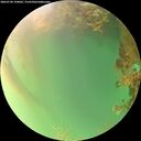 ./images/calvert/underwater/20260720/underwater20260720_194002M.jpg