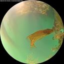 ./images/calvert/underwater/20260720/underwater20260720_195501M.jpg