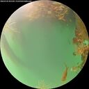 ./images/calvert/underwater/20260720/underwater20260720_201501M.jpg