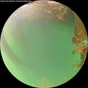 ./images/calvert/underwater/20260720/underwater20260720_204501M.jpg