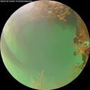 ./images/calvert/underwater/20260720/underwater20260720_210502M.jpg
