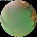./images/calvert/underwater/20260720/underwater20260720_211002M.jpg