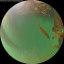 ./images/calvert/underwater/20260720/underwater20260720_212501M.jpg