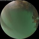 ./images/calvert/underwater/20260720/underwater20260720_215002M.jpg