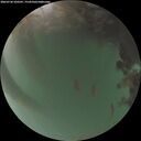 ./images/calvert/underwater/20260720/underwater20260720_220501M.jpg