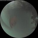 ./images/calvert/underwater/20260720/underwater20260720_221502M.jpg