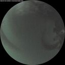 ./images/calvert/underwater/20260720/underwater20260720_222002M.jpg