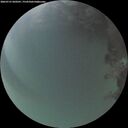 ./images/calvert/underwater/20260721/underwater20260721_050501M.jpg
